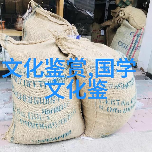第五届影视人类学国际学术研讨会综述