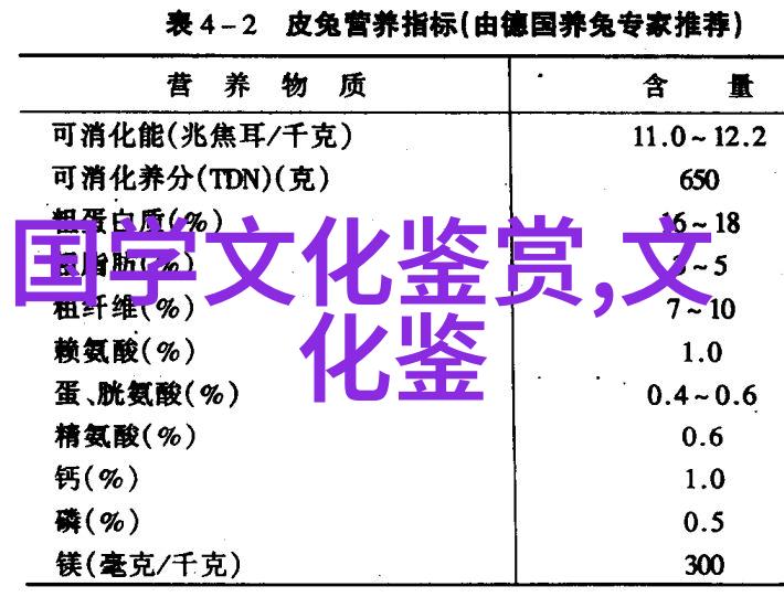 郝颜的影像与乡愁的生产