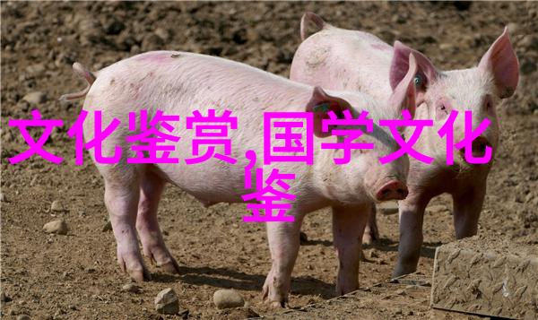 江帆东海女真文化的认知人类学阐释